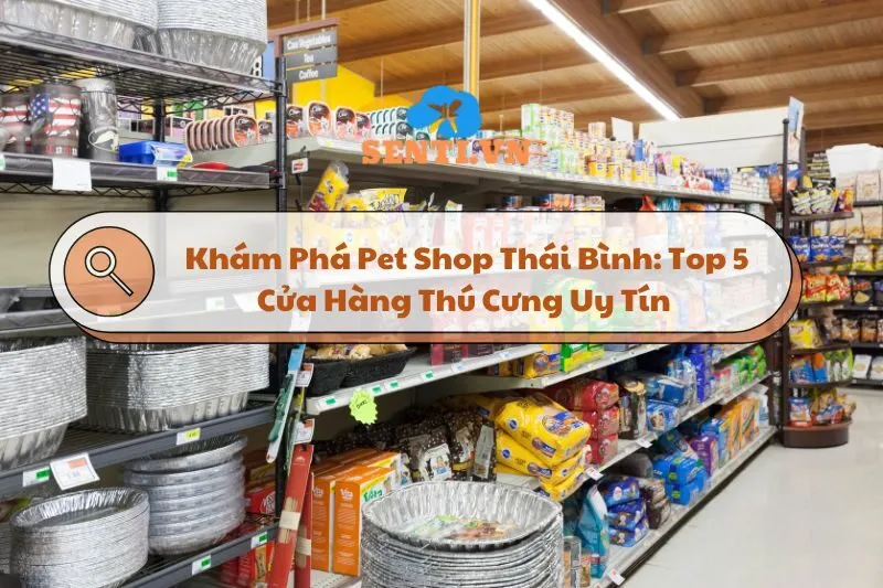 Khám Phá Pet Shop Thái Bình: Top 5 Cửa Hàng Thú Cưng Uy Tín 2024