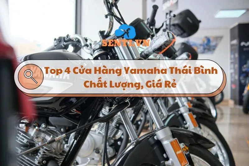 Khám phá Top 4 Cửa Hàng Yamaha Thái Bình Chất Lượng, Giá Rẻ 2024