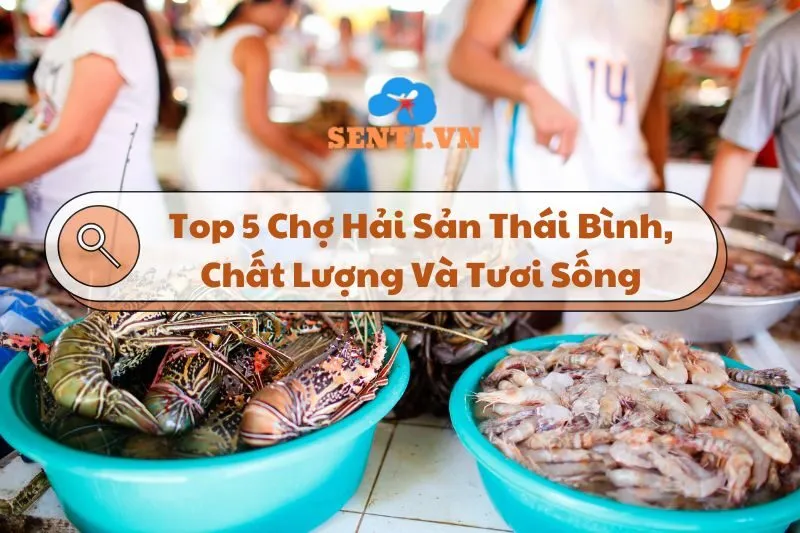 Khám Phá Top 5 Chợ Hải Sản Thái Bình, Chất Lượng Và Tươi Sống 2024