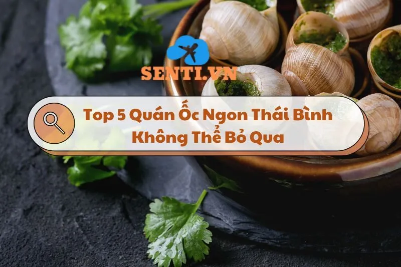 Khám Phá Top 5 Quán Ốc Ngon Thái Bình Không Thể Bỏ Qua 2024