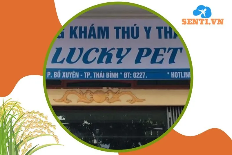 Phòng Khám Thú Y Thái Bình LUCKY PET