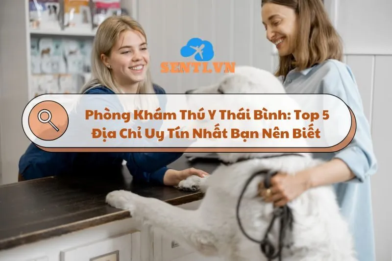 Phòng Khám Thú Y Thái Bình: Top 5 Địa Chỉ Uy Tín Nhất Bạn Nên Biết 2024