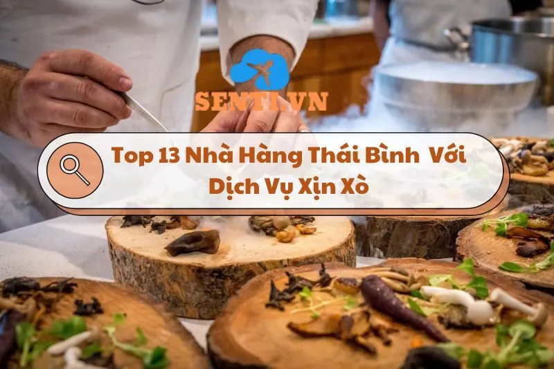 Top 13 Nhà Hàng Thái Bình Xịn Xò Cho Trải Nghiệm Tuyệt Vời 2024