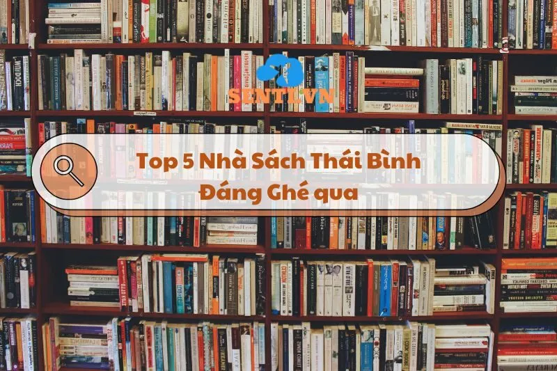 Top 5 Nhà Sách Thái Bình Đáng Ghé: Khám Phá Không Gian & Văn Hóa Đọc 2024