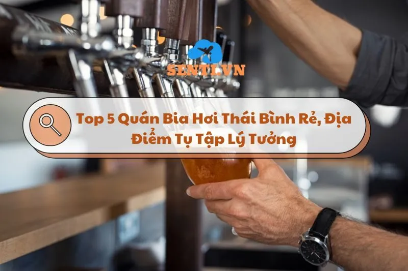 Top 5 Quán Bia Hơi Thái Bình Ngon, Rẻ, Địa Điểm Tụ Tập Lý Tưởng 2024