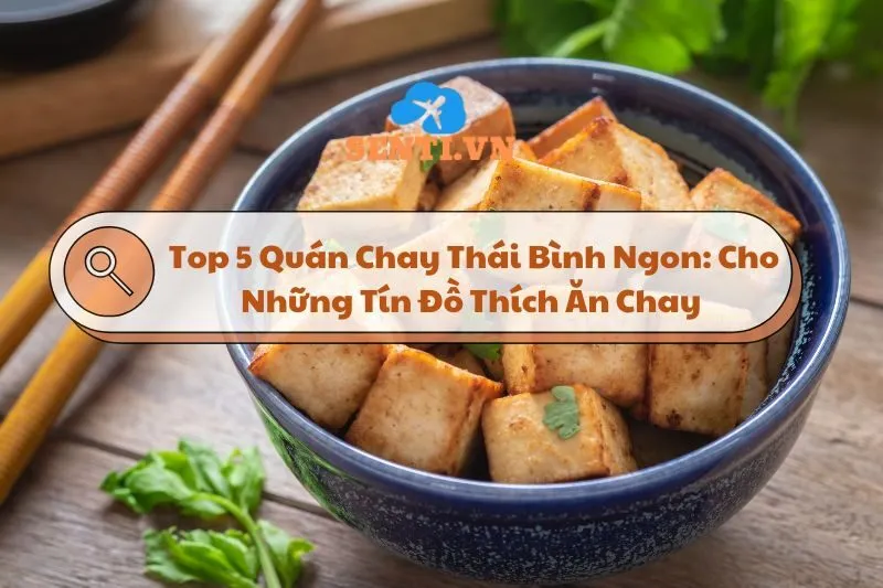 Top 5 Quán Chay Thái Bình Ngon: Cho Những Tín Đồ Thích Ăn Chay 2024