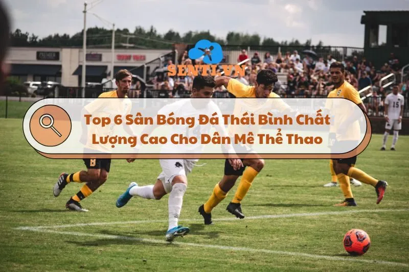 Top 6 Sân Bóng Đá Thái Bình Chất Lượng Cao Cho Dân Mê Thể Thao 2024