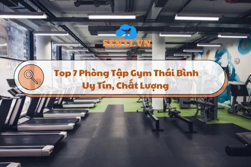 Top 7 Phòng Tập Gym Thái Bình Uy Tín, Chất Lượng Cho Anh Em Gymer 2024