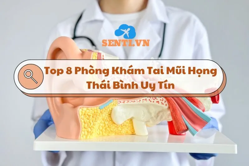 Top 8 Phòng Khám Tai Mũi Họng Thái Bình Uy Tín và Chất Lượng 2024