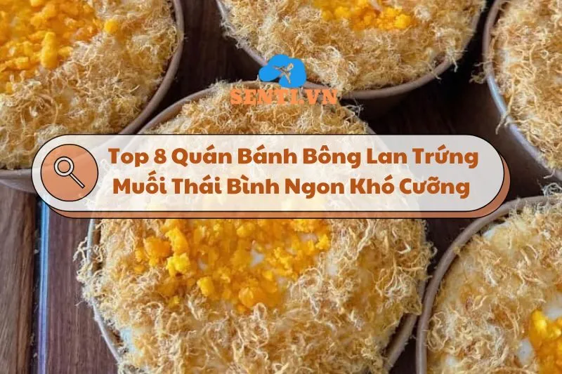 Top 8 Quán Bánh Bông Lan Trứng Muối Thái Bình Ngon Khó Cưỡng 2024