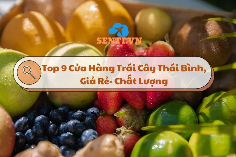 Top 9 Cửa Hàng Trái Cây Thái Bình, Giả Rẻ, Chất Lượng 2024