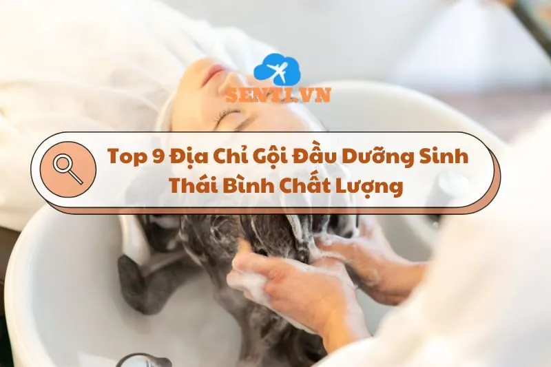 Top 9 Địa Chỉ Gội Đầu Dưỡng Sinh Thái Bình Chất Lượng Cho Bạn Thư Giãn 2024